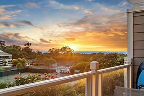 Grand Champions by VTrips II