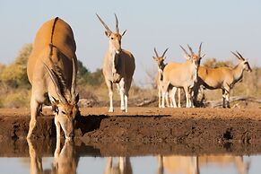 Kolokolo Safari - Mashatu Game Reserve