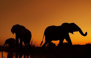 Kolokolo Safari Home – Mashatu Game Reserve