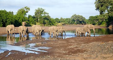 Kolokolo Safari Home – Mashatu Game Reserve