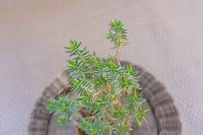 Affittacamere Incanto by Wonderful Italy