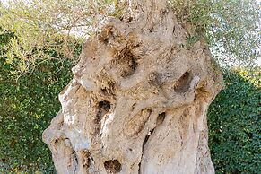 Affittacamere Incanto by Wonderful Italy