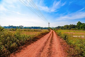 Fabexpress Peacock Suites