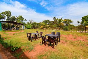 Fabexpress Peacock Suites