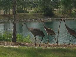 Studio 02 - Lake Sumner