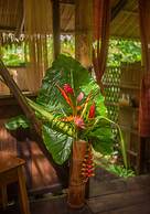 Finca Exotica ecolodge