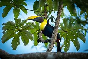 Finca Exotica ecolodge