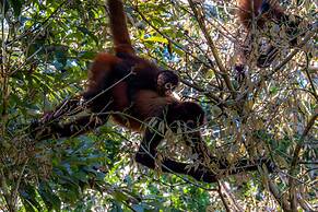 Finca Exotica ecolodge