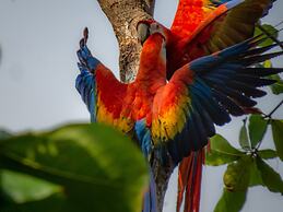 Finca Exotica ecolodge