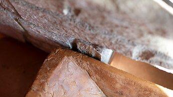 Osteglio 15 Frodolfo