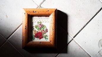 Osteglio 15 Frodolfo