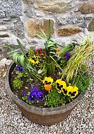 Deveron Valley Cottages