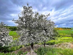 Deveron Valley Cottages