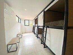 Trip Monkey del Río