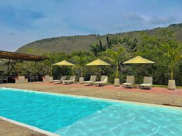 Trip Monkey del Río