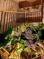 Trip Monkey del Río