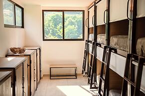 Trip Monkey del Río