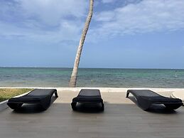 Flamingo Plus by Andiani Travel