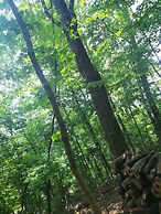 The Treetop Hideaways at Ruby Falls