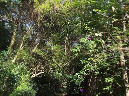 34 Riviera: M4 Giardino 44A, frente Praia, 4Dorms, 3Banh, 2Gar, Varand