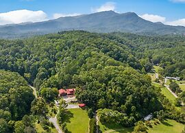 It's Got it all Y'all