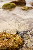 Kini Resort & Village