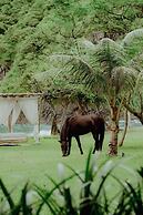 Kini Resort & Village