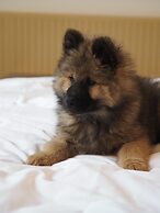 JOST Hôtel Lille Centre