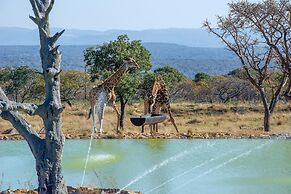 Shekinah Lion and Game Lodge