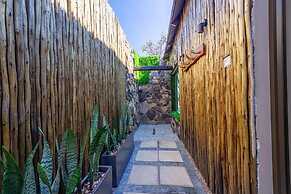 Shekinah Lion and Game Lodge