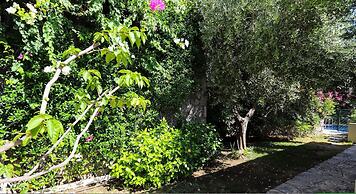 Private Garden Oasis in 4-bed Flat, With Hotel Perks