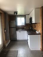 Les chanterelles de Forillon