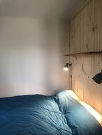 Les chanterelles de Forillon