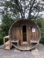 Les chanterelles de Forillon