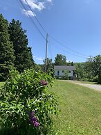 Les chanterelles de Forillon