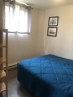 Les chanterelles de Forillon