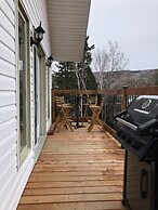 Les chanterelles de Forillon