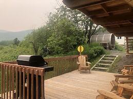 Les chanterelles de Forillon