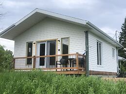 Les chanterelles de Forillon