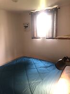 Les chanterelles de Forillon