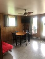 Les chanterelles de Forillon