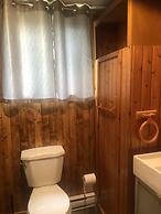 Les chanterelles de Forillon