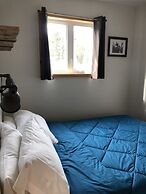 Les chanterelles de Forillon