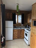 Les chanterelles de Forillon