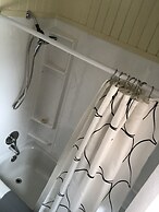 Les chanterelles de Forillon