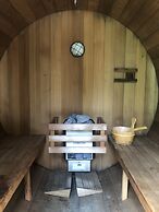 Les chanterelles de Forillon