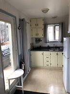 Les chanterelles de Forillon