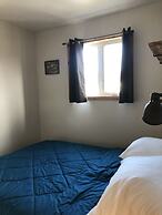 Les chanterelles de Forillon