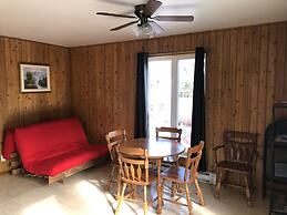 Les chanterelles de Forillon