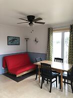 Les chanterelles de Forillon